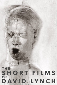 The Short Films of David Lynch (2002) download